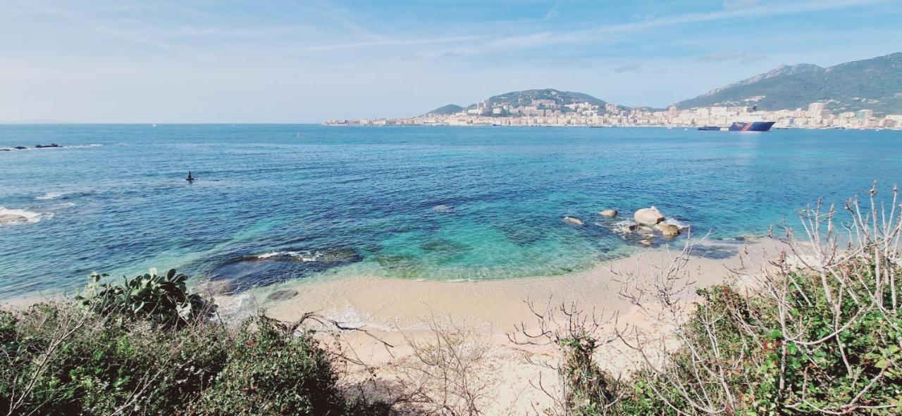 Magnifique Avec Balcon Vue A L'entree D'ajaccio *