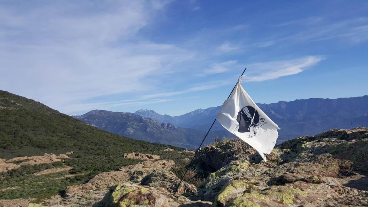 Magnifique Avec Balcon Vue A L'entree D'ajaccio Ajaccio (Corsica)